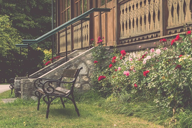 高水平的竞 高水平的竞