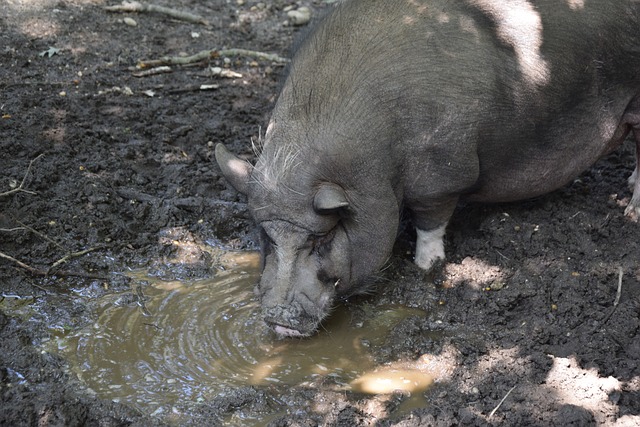进步和决心 进步和决心